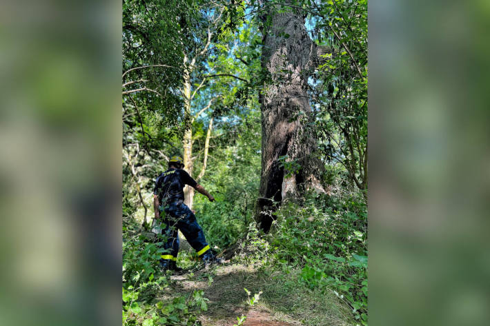 Baum durch THW gesprengt in Neuss-Reuschenberg