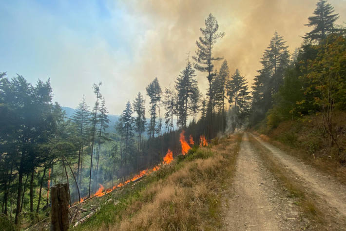 Großeinsatz bei Waldbrand am Hegenscheid
