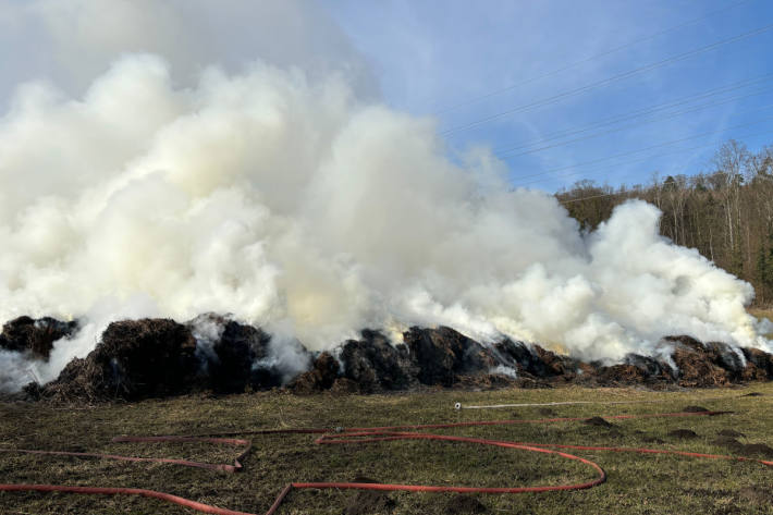Die Ursache für den Brand des Schilfhaufens muss noch geklärt werden.