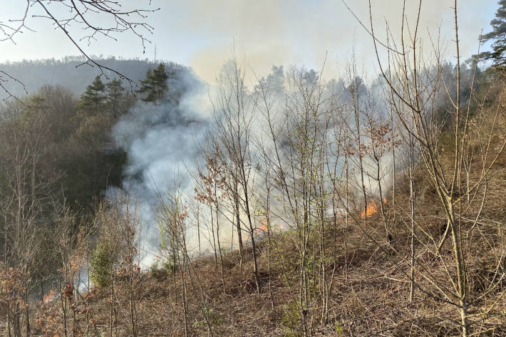 Brandausbruch im bewaldeten Gelände bei Grellingen