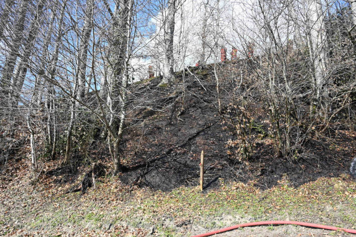 Feuerstelle unbeaufsichtigt gelassen und Waldbrand ausgelöst