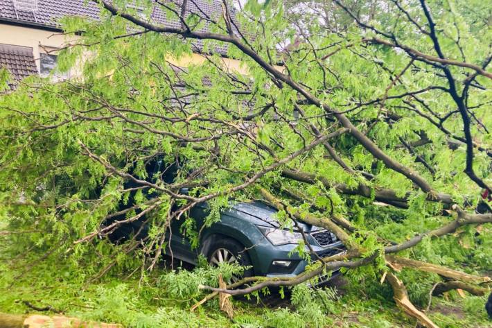 In Oberhausen wütete Sturmtief "Dorchen".