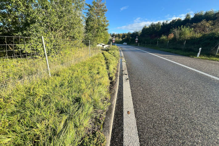 Das Fahrzeug kam auf der Grünfläche zum Stillstand