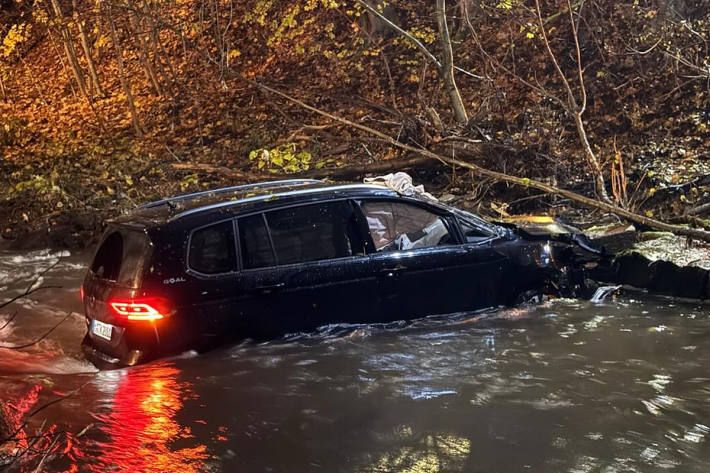 Der Fahrer wurde schwer verletzt.
