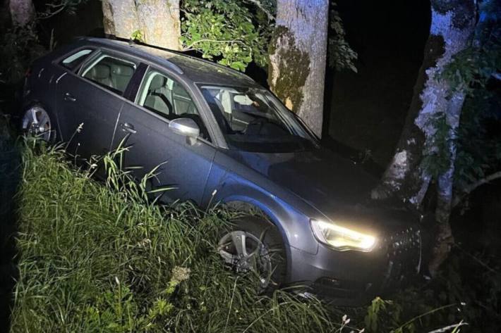 Nach der Flucht verunfallte einer der gestohlenen Audis an einer Böschung im Wald
