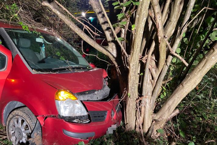 Beim Unfall verletzte sich der Fahrer.