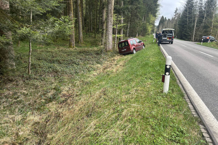 Der 69-jährige Lenker war auf der geraden Strecke eingenickt und kollidierte mit einem Baumstrunk.