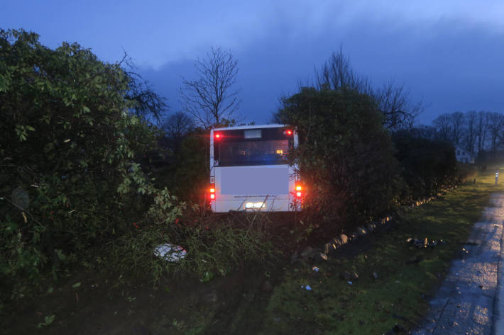 Bus in Garten