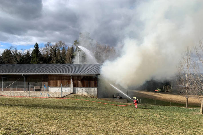 Brand bei Hühnerzucht in Gundetswil