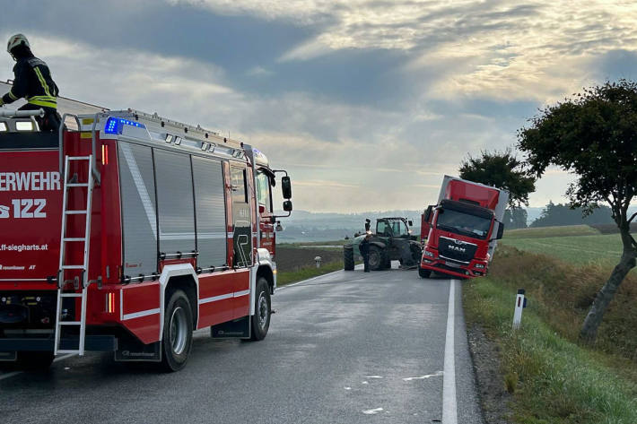 Die Eier kamen beim Einsatz nicht zu Schaden.