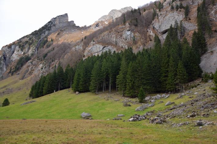 Beim Seealpsee AI ist gestern ein Anderer abgestürzt.