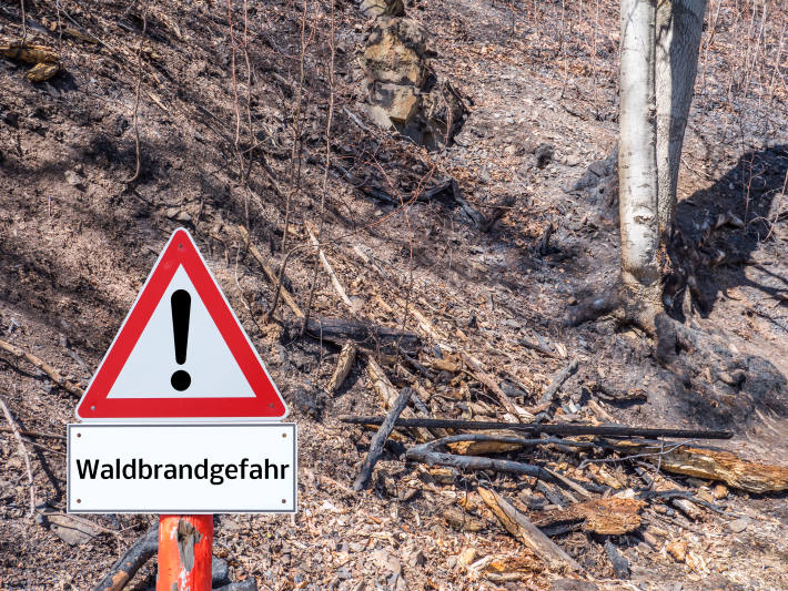 Wegen hoher Waldbrandgefahr im Kanton Zürich gilt ab sofort ein Feuerverbot im Wald und in Waldesnähe.