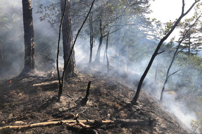 Waldbrand auf dem Roggen in Balsthal