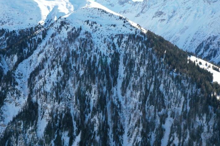 Ein 17-Jähriger konnte nur noch tot geborgen werden.