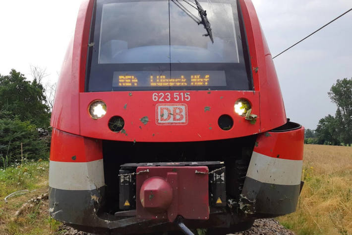 Regionalbahn kollidiert mit Baum bei Zepelin