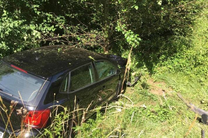 In Mondsee wurde die Frau so stark abgelenkt, dass sie von der Fahrbahn abkam und frontal gegen einen Baum fuhr