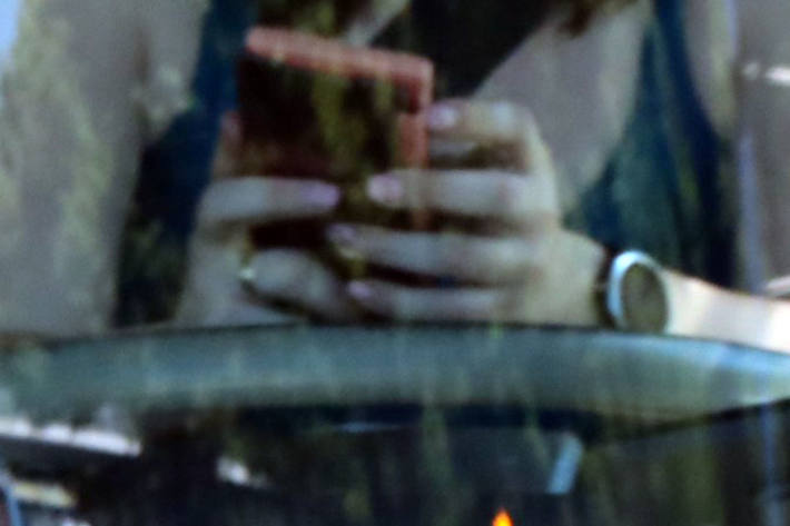 Unfälle passieren nicht einfach - sie haben in den meisten Fällen eine menschliche Ursache