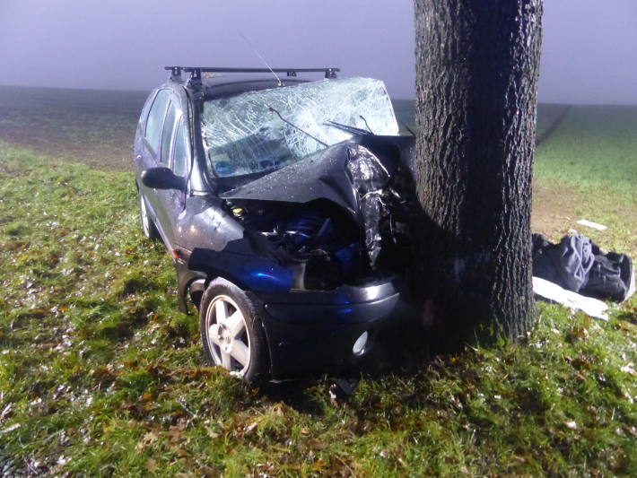 Von Fahrbahn abgekommen und gegen Baum geprallt – Fahrer schwer verletzt