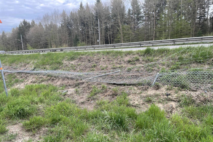 Unbekannter Ford kracht auf der A1 in Wildschutzzaun und flüchtet