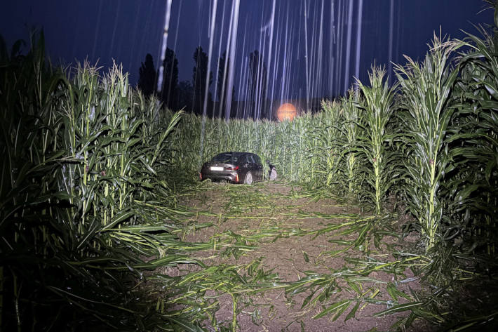 Das Fahrzeug geriet ins Schleudern und landete im Maisfeld.