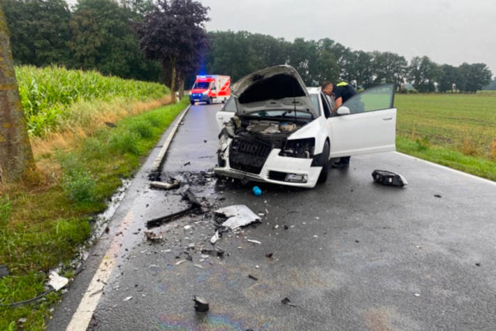 Wespe im Auto verursacht Frontalzusammenstoß mit drei Verletzten