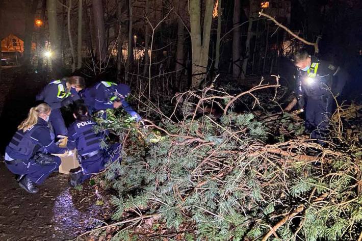 Da die Tiere in freier Wildbahn nur eine sehr geringe Überlebenschance haben, sammelten die Beamtinnen und Beamten die Mäuse ein und brachten sie in ein Hildener Tierheim