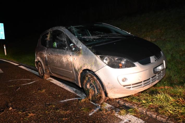 Der Unfallfahrer konnte sich aus dem Auto befreien.