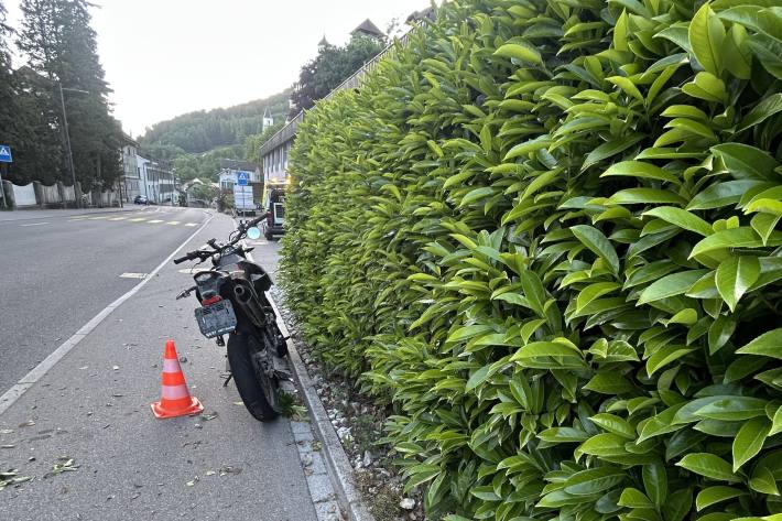 Motorradfahrer prallt in Hecke