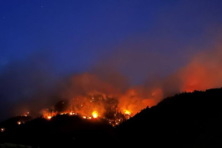 In Bitsch ist der Wald in Brand geraten.