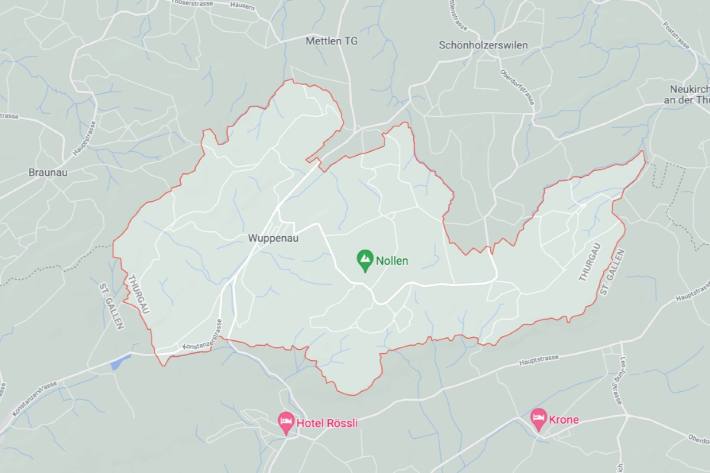 In Wuppenau TG brannte gestern eine Hecke.