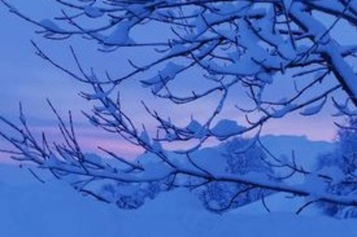 Die gesamte Gruppe von 2 Frauen und 3 Männern konnten unverletzt zu Tal in Ebenwald gebracht werden (Symbolbild)