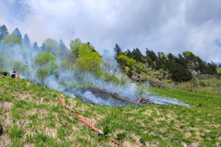 Weidebrand in steilem Gelände