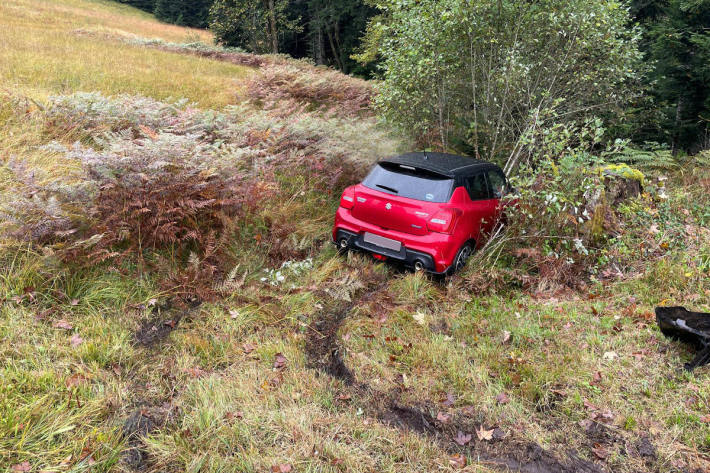 Das Auto kam im Wiesland zu stehen.