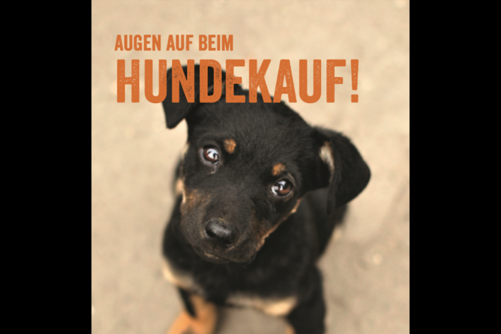 Augen auf beim Hundekauf Kampagne 