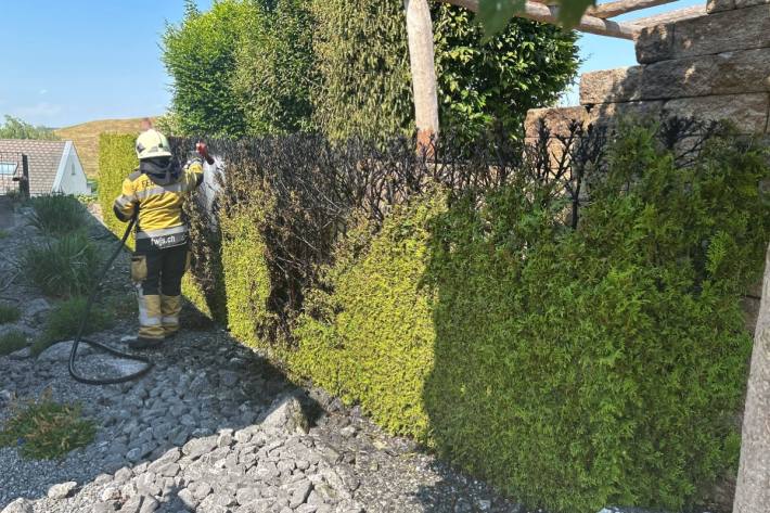 Gestern brannte diese Hecke.