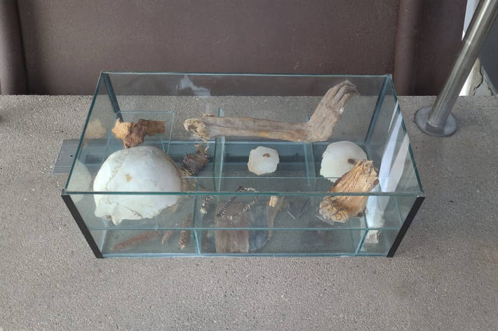 Diese Vitrine enthält 1000 Jahre alte menschliche Überreste.