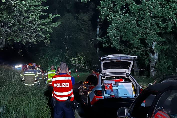 Beim Unfall in Kammersrohr musste der Fahrer aus dem Auto befreit werden.