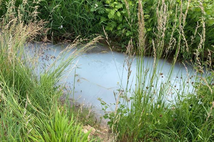 Der Mülibach in Beringen SH ist verschmutzt.