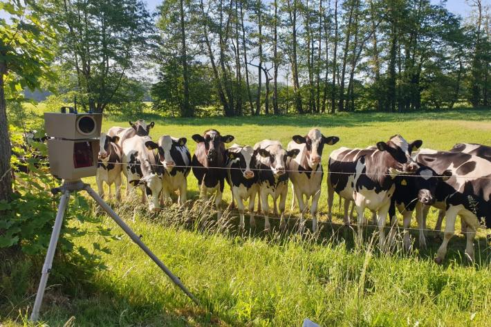 Tierische Zeugen der Geschwindigkeitskontrolle