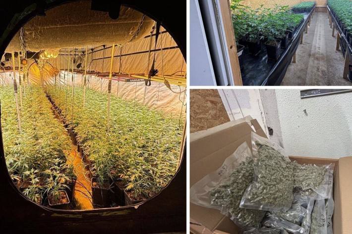 Illegale Indoor-Hanfanlag