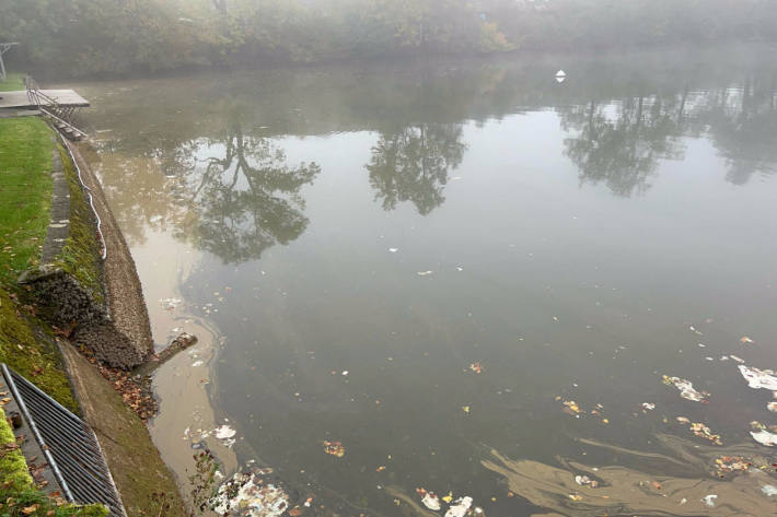 Verschmutzung des Mannenweiher in St. Galle