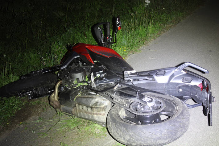 Der Motorradfahrer kam wegen Wildwechsels von der Straße ab.