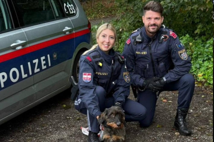 Der Dackel wurde wohlbehalten an seinen Besitzer übergeben.