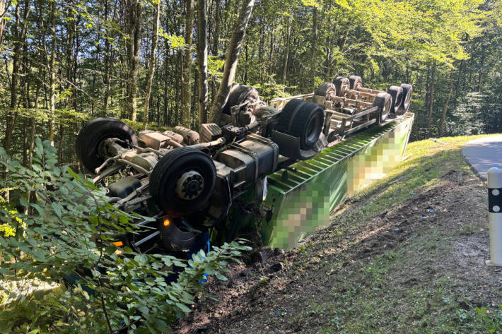 Der Fahrer wurde leicht bis mittelschwer verletzt.