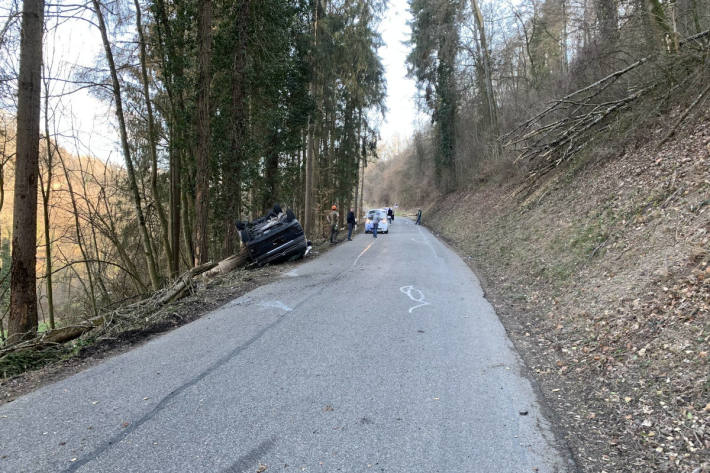 Holzfällerarbeiten lösen Grossaufgebot bei Rekingen aus