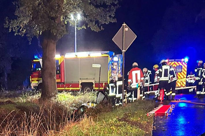 Der Fahrer wurde bei dem Unfall verletzt.