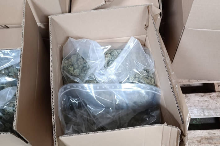 Mehrere Kilo verkaufsfertiges Cannabis wurden sichergestellt.