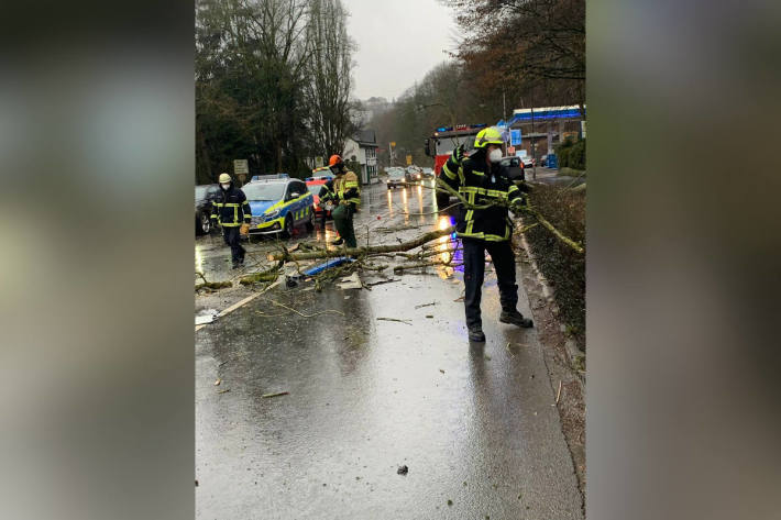 Baum fiel auf mehrere PKW und einen Linienbus