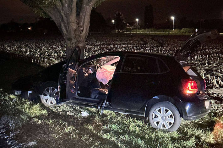 Heftig gegen den Baum geprallt