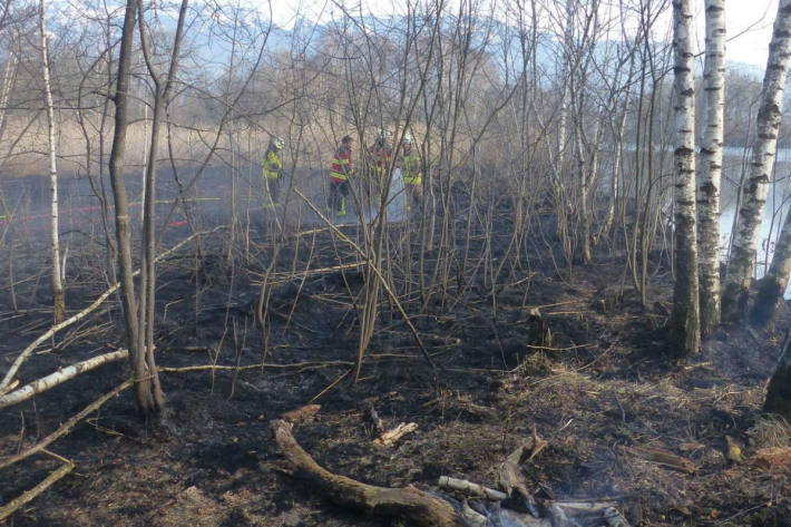 Die Feuerwehren wurden aufgeboten.